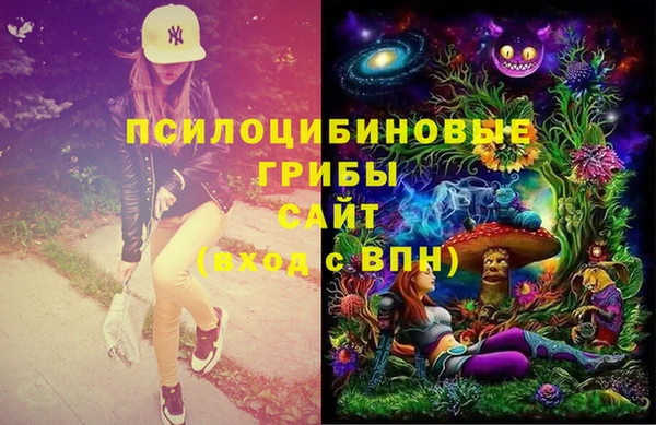 мет Белокуриха