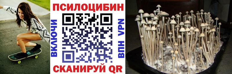 Псилоцибиновые грибы Psilocybine cubensis  Купить закладки  Новый Оскол 