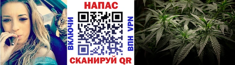 Купить  Новый Оскол  Бошки марихуана семена 
